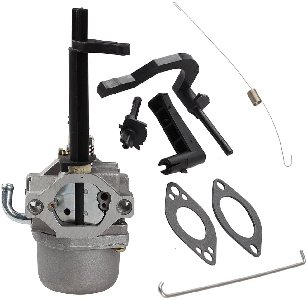 CARBURADOR BRIGGS INTEK 8-10 HP