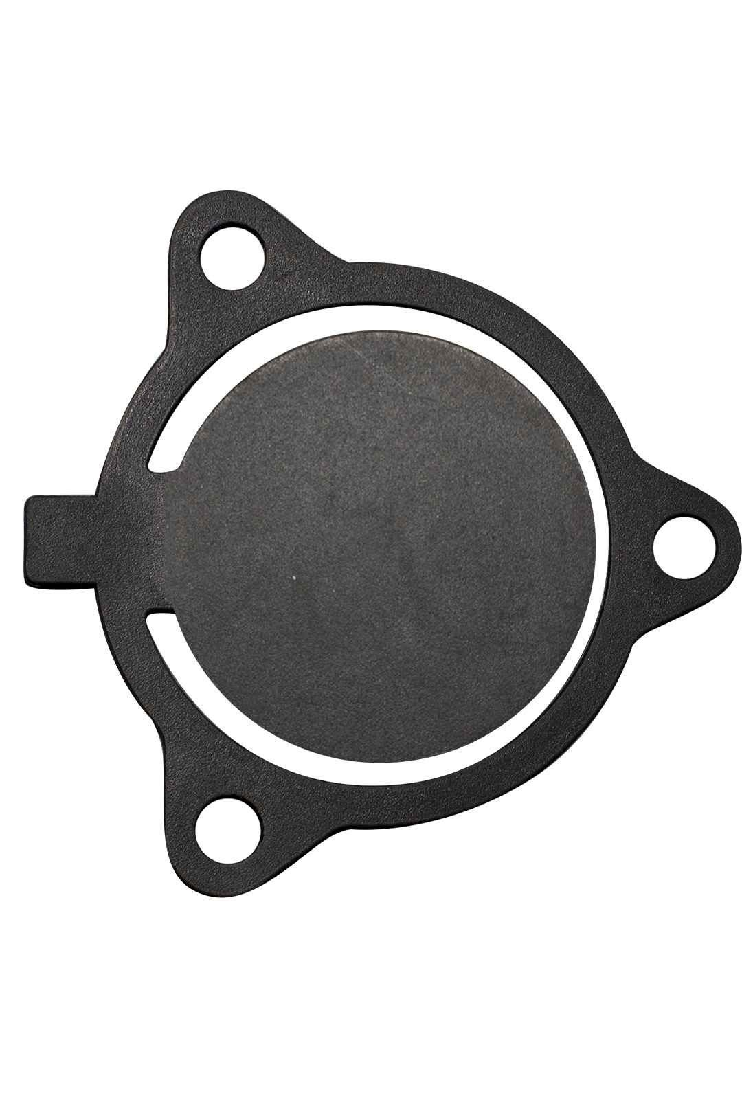 CHECK PARA BOMBA AUTOCEBANTE DE 2"