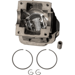 CILINDRO COMPLETO STIHL 250 PISTON Y ANILLOS 42.5M